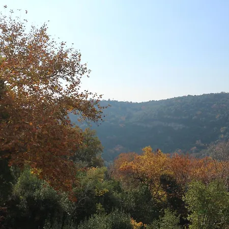 Elea In Milies Pelion Miléai