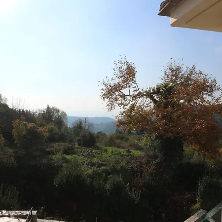 Elea In Milies Pelion Apartment *