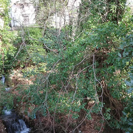 Elea In Milies Pelion *
