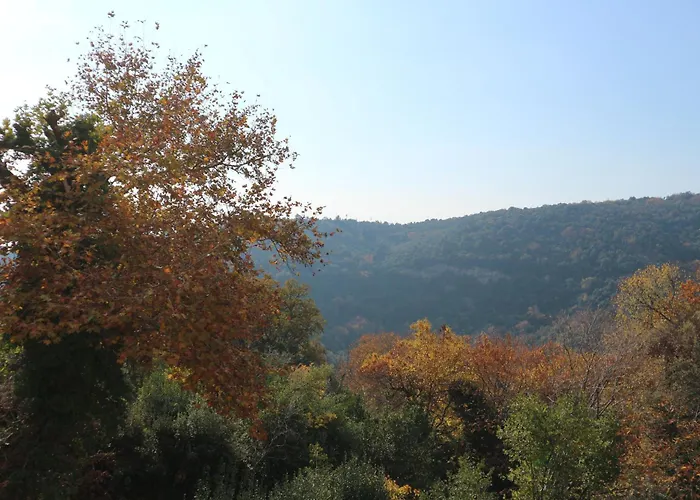 Elea In Milies Pelion Mileai