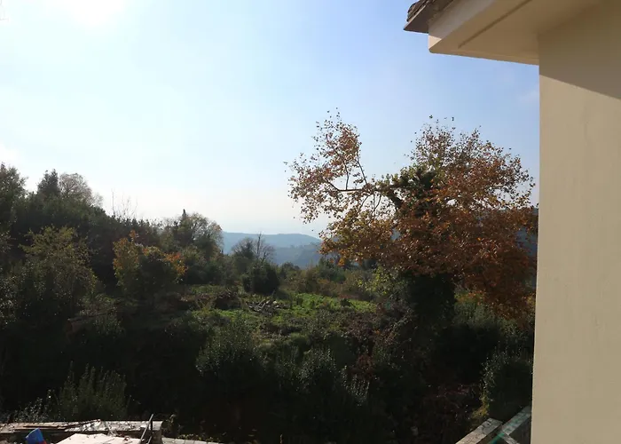 Elea In Milies Pelion Apartment *