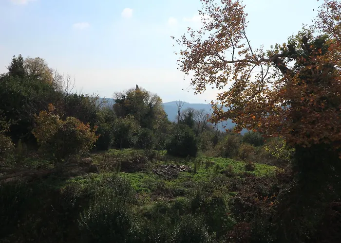 Elea In Milies Pelion Apartment