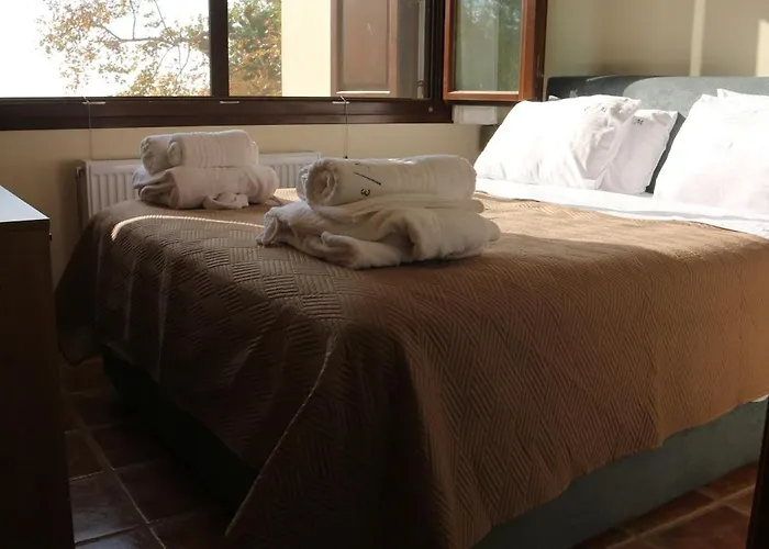 Apartment Elea In Milies Pelion *